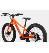 KIDS TRAIL PLUS 20"