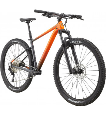 CANNONDALE TRAIL SE 3